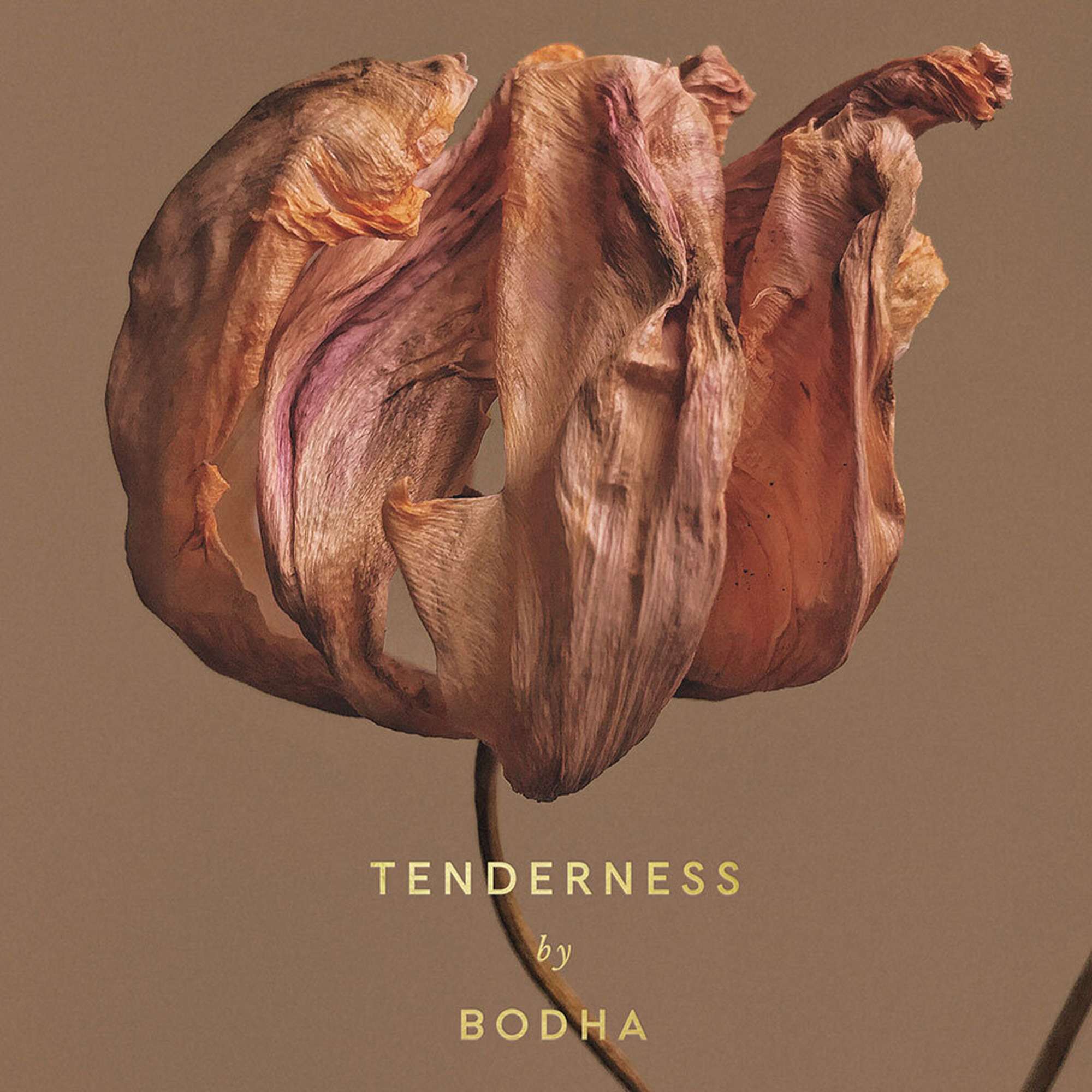 Bodha - Tenderness füstölő